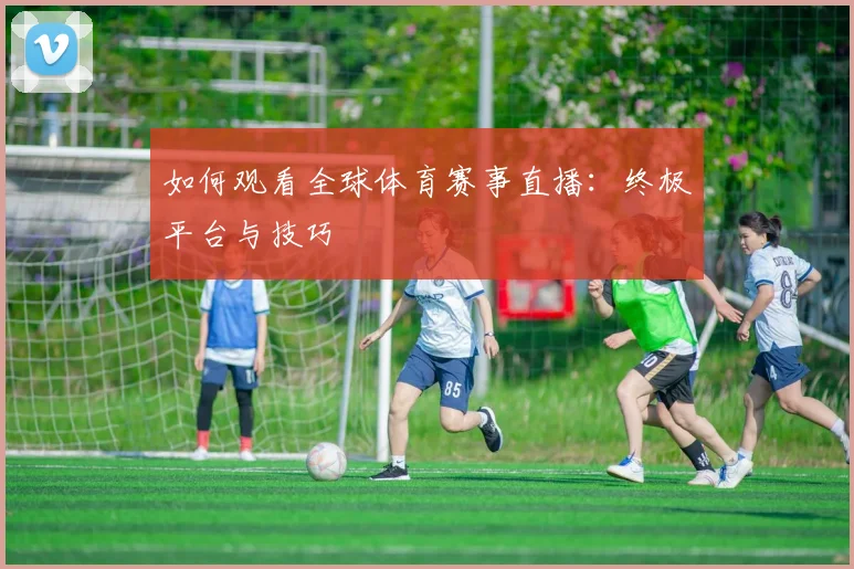 如何观看全球体育赛事直播：终极平台与技巧