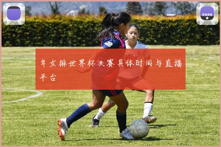 年女排世界杯决赛具体时间与直播平台